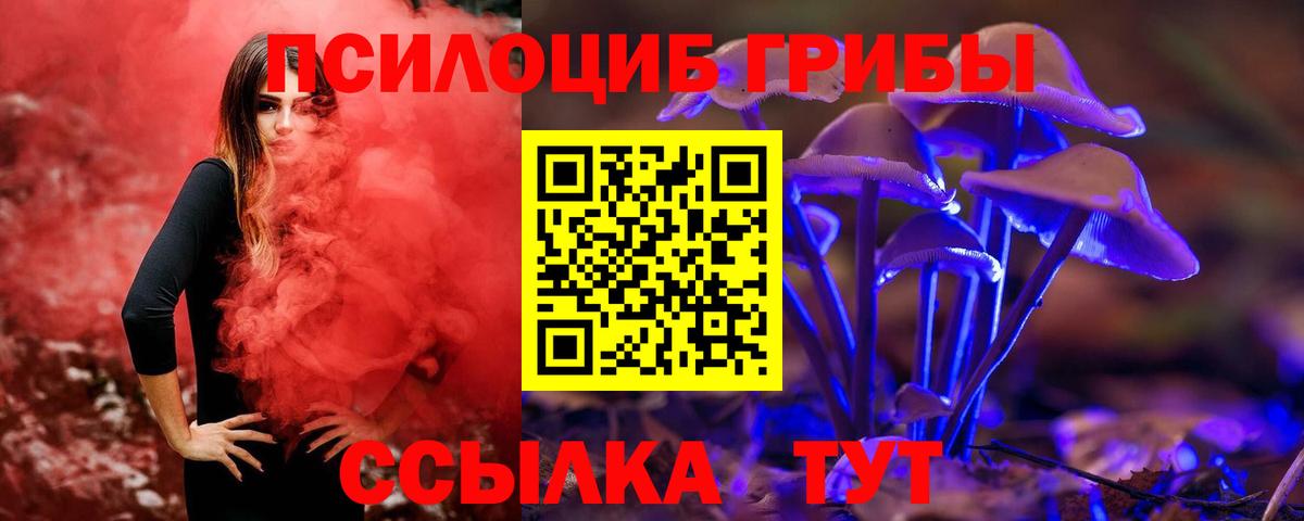 Галлюциногенные грибы Magic Shrooms Будённовск