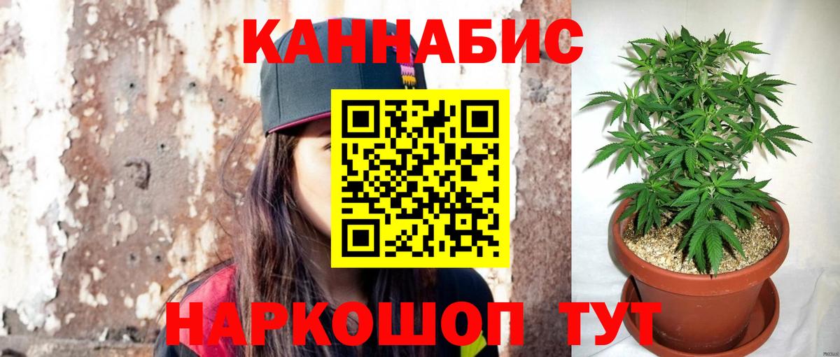 Конопля MAZAR  Конопля White Widow  МАРИХУАНА VHQ  Будённовск  Вход с VPN 